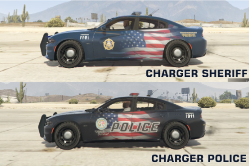 Dodge Charger RT 2015 LS Police Pack